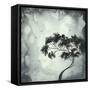 Lost Moon-Megan Aroon Duncanson-Framed Stretched Canvas