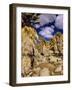 Lost Palms Oasis, Joshua Tree National Park, California, USA-Chuck Haney-Framed Photographic Print