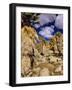 Lost Palms Oasis, Joshua Tree National Park, California, USA-Chuck Haney-Framed Photographic Print