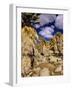 Lost Palms Oasis, Joshua Tree National Park, California, USA-Chuck Haney-Framed Photographic Print