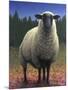 Lost Sheep-W Johnson James-Mounted Premium Giclee Print