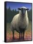 Lost Sheep-W Johnson James-Framed Stretched Canvas