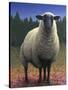 Lost Sheep-W Johnson James-Stretched Canvas