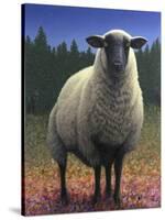 Lost Sheep-W Johnson James-Stretched Canvas