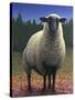 Lost Sheep-W Johnson James-Stretched Canvas