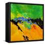 Lost Stones-Pol Ledent-Framed Stretched Canvas