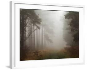 Lost-David Baker-Framed Photographic Print