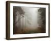 Lost-David Baker-Framed Photographic Print