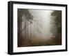 Lost-David Baker-Framed Photographic Print