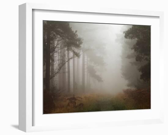 Lost-David Baker-Framed Photographic Print