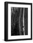 Lost-Eric Drigny-Framed Photographic Print