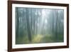 Lost-Viviane Fedieu Daniel-Framed Photographic Print