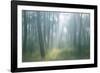 Lost-Viviane Fedieu Daniel-Framed Photographic Print