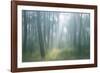 Lost-Viviane Fedieu Daniel-Framed Photographic Print