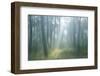 Lost-Viviane Fedieu Daniel-Framed Photographic Print