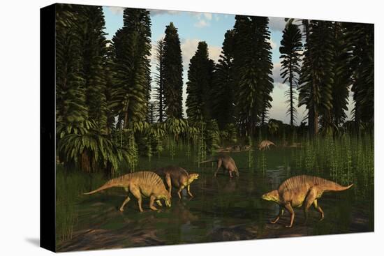 Lotosaurus Reptiles Dig for Clams in a Tidal Swamp-Stocktrek Images-Stretched Canvas