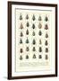 Lots of Beetles-null-Framed Art Print