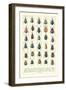 Lots of Beetles-null-Framed Art Print