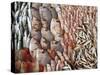 Lots of Different Mediterranean Fish-Joerg Lehmann-Stretched Canvas