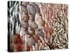 Lots of Different Mediterranean Fish-Joerg Lehmann-Stretched Canvas