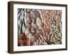 Lots of Different Mediterranean Fish-Joerg Lehmann-Framed Photographic Print