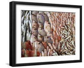 Lots of Different Mediterranean Fish-Joerg Lehmann-Framed Photographic Print