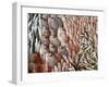 Lots of Different Mediterranean Fish-Joerg Lehmann-Framed Photographic Print