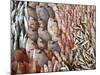 Lots of Different Mediterranean Fish-Joerg Lehmann-Mounted Photographic Print