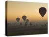 Lots of Hot Air Balloons Flying over the Desert at Sunrise West of the River Nile Near Luxor, Egypt-Neale Clark-Stretched Canvas