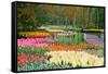 Lots of Spring Flowers in the Park-Colette2-Framed Stretched Canvas