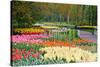 Lots of Spring Flowers in the Park-Colette2-Stretched Canvas