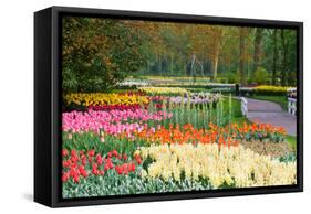 Lots of Spring Flowers in the Park-Colette2-Framed Stretched Canvas