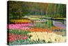 Lots of Spring Flowers in the Park-Colette2-Stretched Canvas