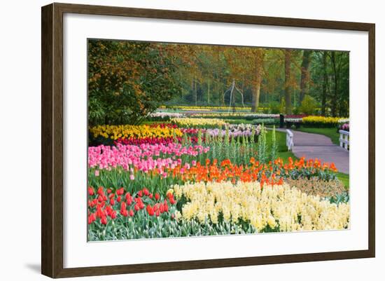 Lots of Spring Flowers in the Park-Colette2-Framed Photographic Print