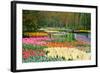 Lots of Spring Flowers in the Park-Colette2-Framed Photographic Print