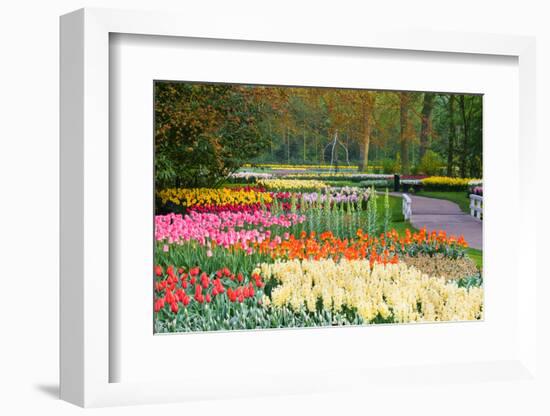 Lots of Spring Flowers in the Park-Colette2-Framed Photographic Print