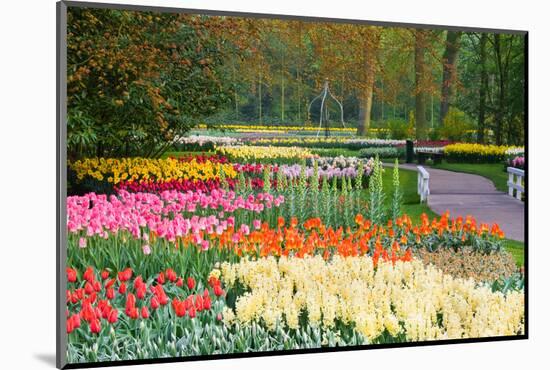 Lots of Spring Flowers in the Park-Colette2-Mounted Photographic Print