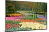 Lots of Spring Flowers in the Park-Colette2-Mounted Photographic Print