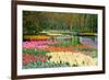 Lots of Spring Flowers in the Park-Colette2-Framed Photographic Print