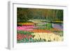 Lots of Spring Flowers in the Park-Colette2-Framed Photographic Print