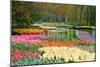 Lots of Spring Flowers in the Park-Colette2-Mounted Photographic Print