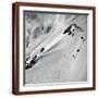 Brown Frame