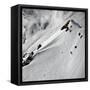 Canvas Black