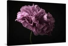 Poppy-Lotte Gronkjaer-Giclee Print