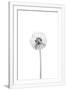 Gramercy White