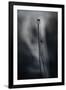 Gramercy Black