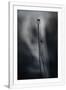 Gramercy White