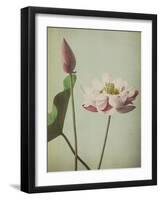 Lotus, 1896-Kazumasa Ogawa-Framed Giclee Print