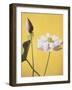 Lotus, 19th Century-Ogawa Kazuma-Framed Giclee Print