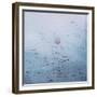 Lotus, 2011-Luke Elwes-Framed Giclee Print